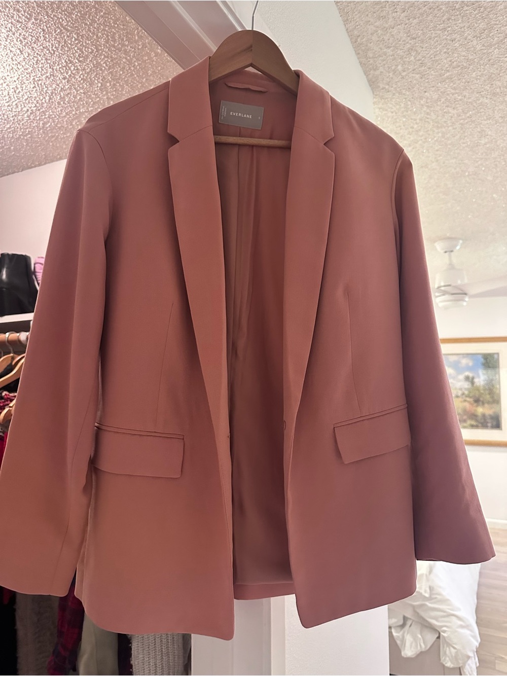Everlane oversized easy blazer in Dusty Rose color size 0